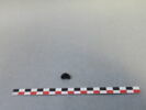 perle, fragment, image 2/3