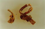 lamelle ; plomb de vitrail, image 3/3
