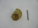 gobelet, image 3/4
