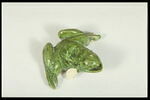Grenouille de fontaine, image 6/8