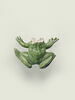 Grenouille de fontaine, image 1/8