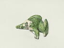 Grenouille de fontaine, image 3/8