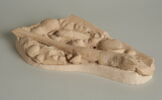 Lézard, image 1/8