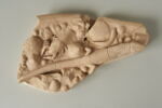 Lézard, image 5/8