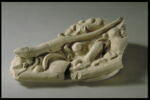 Lézard, image 8/8