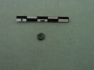 rivet, image 3/3