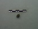 rivet, image 3/3