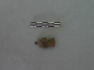 agrafe, image 1/3