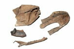 chaussure, fragment, image 2/2