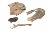 chaussure, fragment, image 1/2