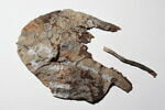 bourse, fragment, image 1/2