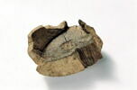 bol, fragment, image 1/2
