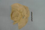 cruche, fragment, image 2/3