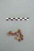 perle, image 3/4