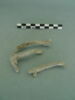 vitrail, image 3/3