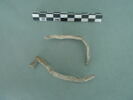 ruban, image 1/3
