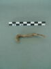 objet indéterminé, fragment, image 3/3
