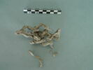 vitrail, image 1/3