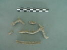 vitrail, image 1/3
