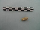 clou, fragment, image 1/3