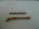 bande, image 1/3