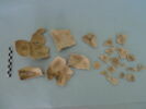 tesson, image 2/3