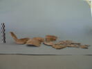 tesson, image 1/3