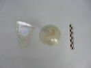 verre à jambe à tige, image 2/3