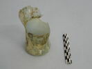 pot à pharmacie, image 1/4