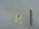 verre à jambe à tige, image 2/3
