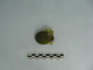 médaillon de bouteille, image 2/3