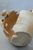 gourde, image 3/3