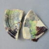 cupule, image 1/3