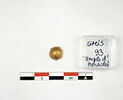 cupule, image 1/2