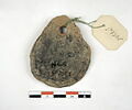 socle, image 2/2