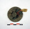 bouton, image 1/2
