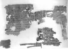 papyrus, image 3/3