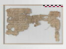 papyrus, image 1/3