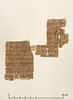 papyrus documentaire, image 2/2