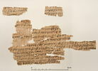 papyrus documentaire, image 1/2