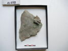 plaque ; fragment, image 1/2