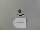 vase ; urne, image 2/2