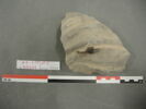 sculpture, image 2/2