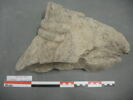 sculpture, image 2/2