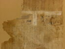 linceul peint, image 2/3