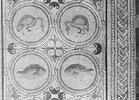 Mosaïque de Qabr Hiram, image 62/65