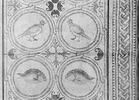 Mosaïque de Qabr Hiram, image 64/65