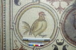 Mosaïque de Qabr Hiram, image 3/65