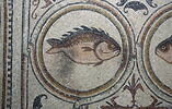 Mosaïque de Qabr Hiram, image 12/65