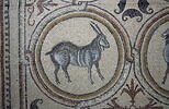 Mosaïque de Qabr Hiram, image 16/65